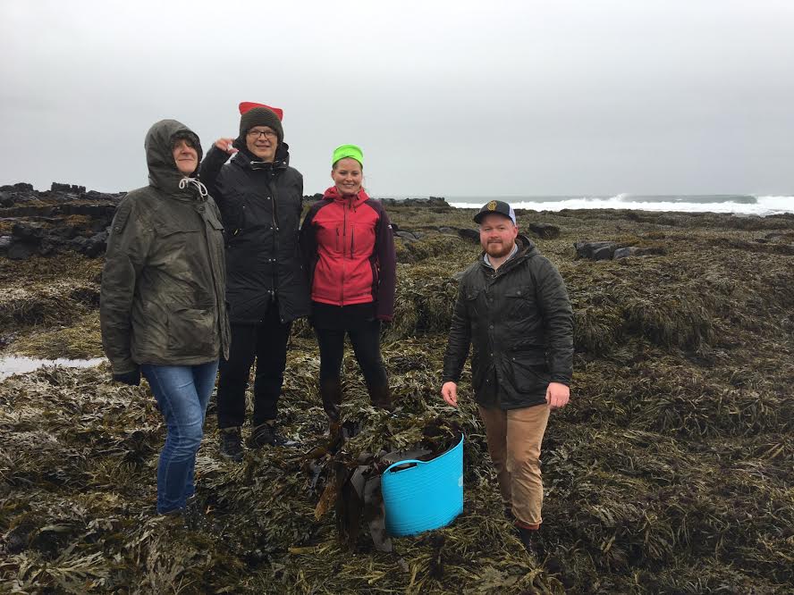 collecting-algae-vicktorija-gediminas-eydis-henrik
