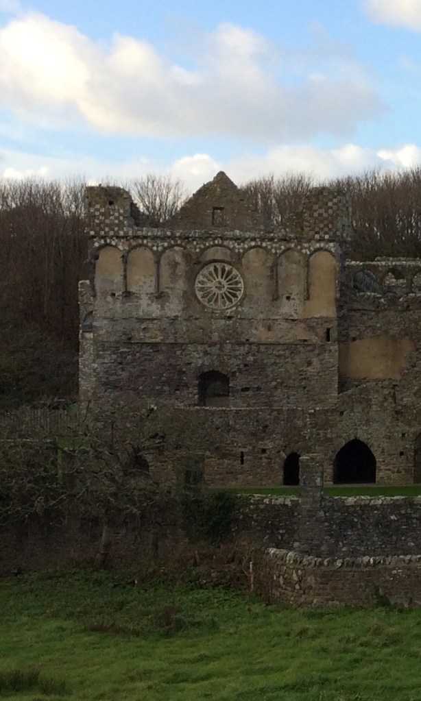 St Davids Bishops Palace cropped
